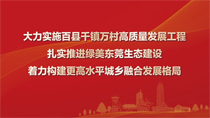 大力實施百縣千鎮萬村高質量發展工程扎實推進綠美東莞生態建設著力構建更高水平城鄉融合發展格局